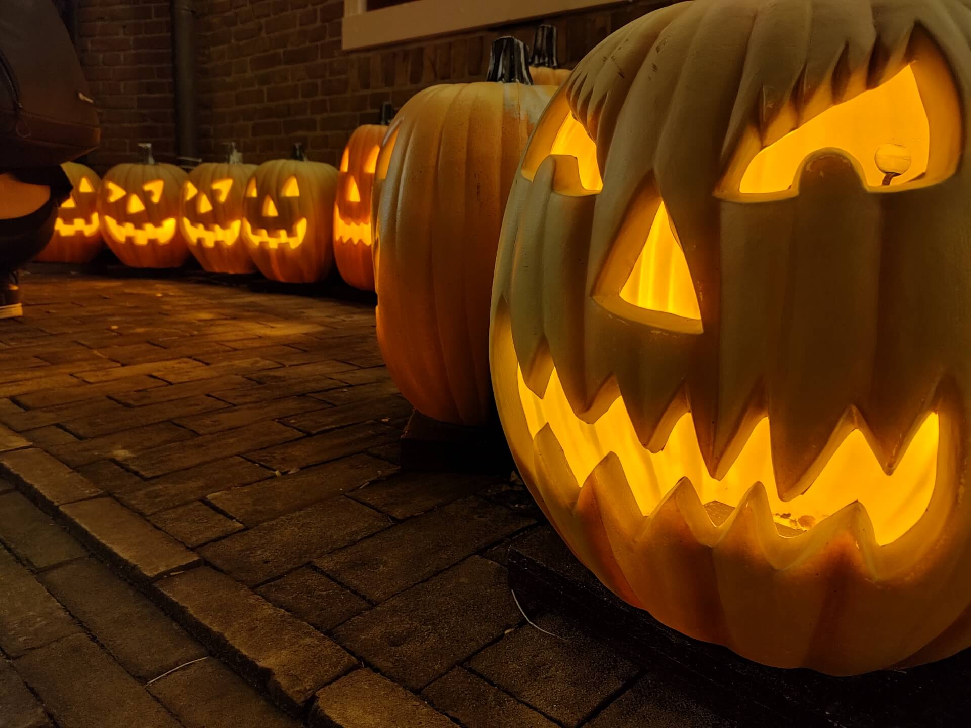 Halloween_lit_pumpkin